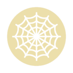 Logo anySpider