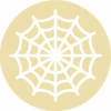 ico_Loesung_Management_anyspider